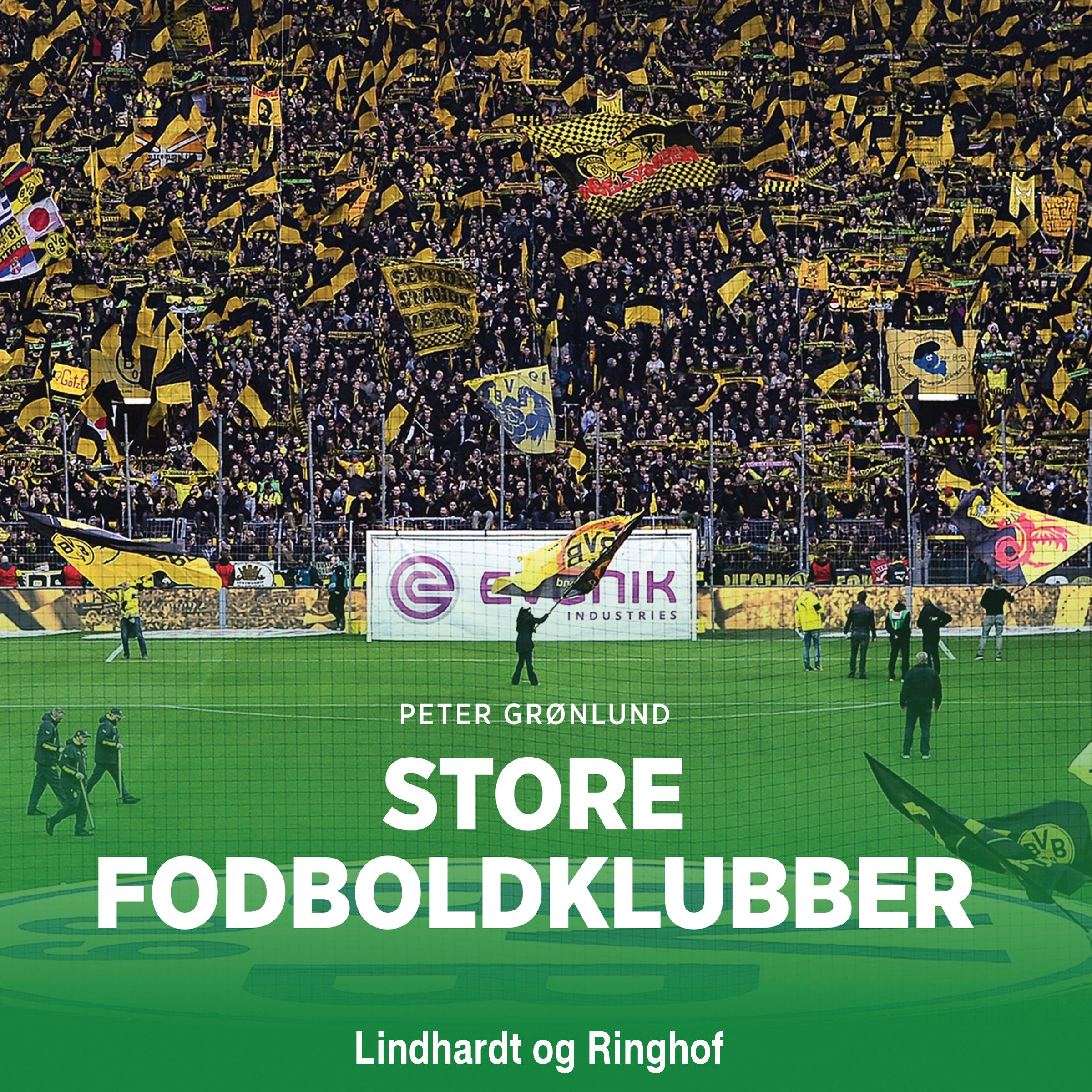 Forside billede